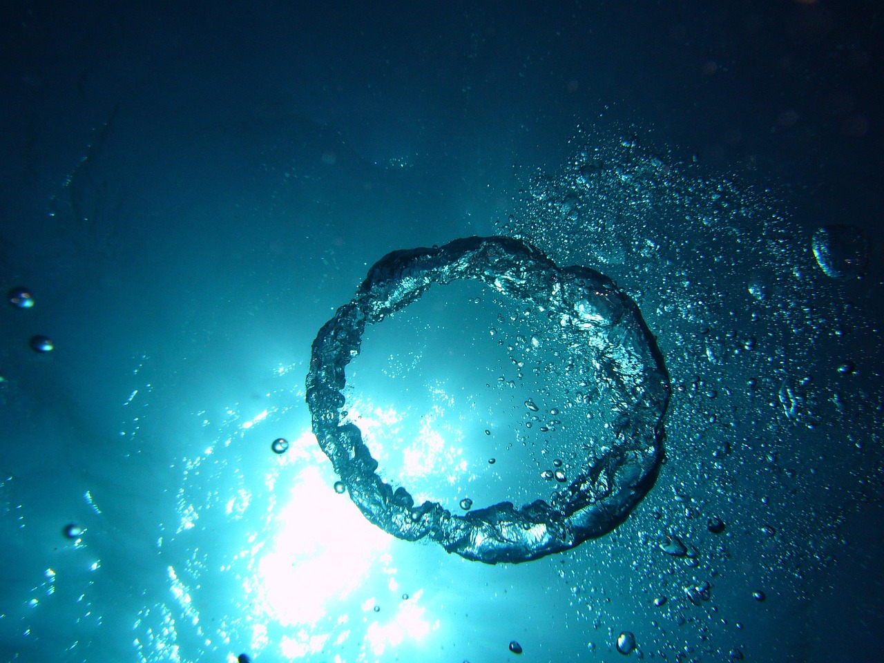 海・川・湖から静かに酸素が消えている…… 世界200カ所超で進む『水の窒息』の実態の画像2