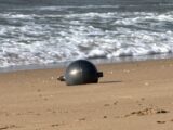 オーストラリアの浜辺に漂着した謎の金属球の正体とは!? 焦げ跡ひとつない不可解な物体に専門家も困惑
