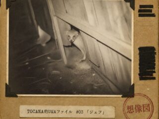 【TOCANA的UMAファイル #03】「喋るマングース、“ジェフ”」 ── 誰も見ていない、自称・世界で八番目の不思議