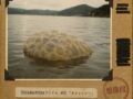 【TOCANA的UMAファイル #05】「オジャッシー」