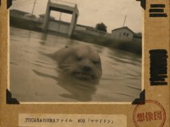 【TOCANA的UMAファイル #09】「マツドドン」 ── 何でも“すぐやる”はずの役所が、名前だけつけて放置した怪獣