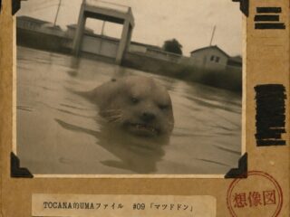 【TOCANA的UMAファイル #09】「マツドドン」 ── 何でも“すぐやる”はずの役所が、名前だけつけて放置した怪獣