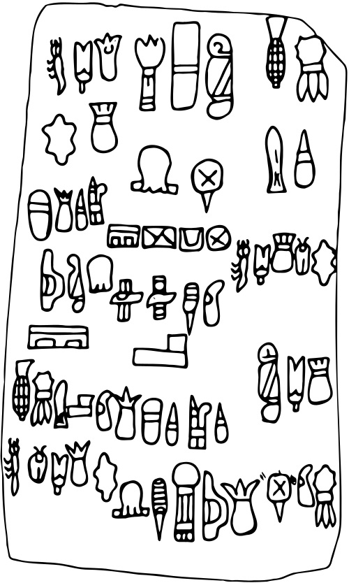 「これ以上は無理」と言語学者が匙を投げた11の古代文字。ヴォイニッチ、ロンゴロンゴ……専門家が「解読は望み薄」と結論づけた書記体系の数々の画像3