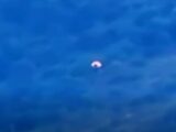 【消失の瞬間】「白いオーブ型UFO」が突如消滅！ 一瞬で虚空に溶けた!? 撮影者もパニックに陥った“ありえない消失劇”