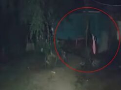 防犯カメラが捉えた「白い影」ホンジュラスで拡散する幽霊映像は本物か、泥棒の変装か