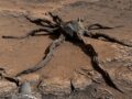火星表面の「クモ型の岩」衝撃画像はAI生成と判明