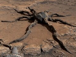 「火星に巨大なクモ!?」探査車が捉えた多脚の奇岩に世界が震撼… SNSで拡散した衝撃画像の正体とは