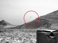 火星の空に浮かぶ「あり得ない黒点」と、地表を歩く“クラゲ型UFO”。探査車キュリオシティが撮影した不可解な異物の正体