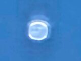 6時間動かず浮かんだ「発光する球体」!? コロラド上空に現れた正体不明物体の目撃談【UFO・UAP】