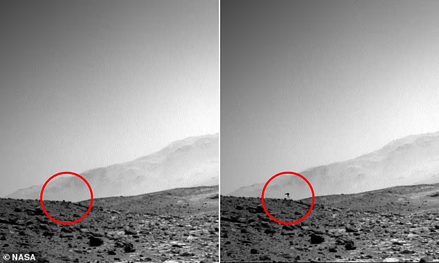 火星のクレーターに一瞬だけ現れた「クラゲ型の物体」—— NASA探査車の1枚が生命論争を再燃させたの画像2