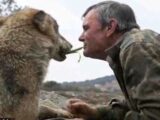 7歳で山に取り残され、狼に育てられた″スペインのモーグリ”が80歳で死去「一番幸せだったのは狼と暮らした12年間」