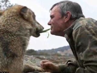 7歳で山に取り残され、狼に育てられた″スペインのモーグリ”が80歳で死去「一番幸せだったのは狼と暮らした12年間」