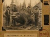 【TOCANA的UMAファイル #12】「ホダッグ」 ── 自分で"捏造"と白状した怪物が、いまや魔法動物図鑑の住人