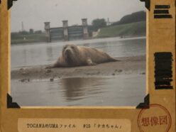 【TOCANA的UMAファイル #15】「ナカちゃん」── 正体は即日判明、死因だけが謎のまま残った“未確認生物”