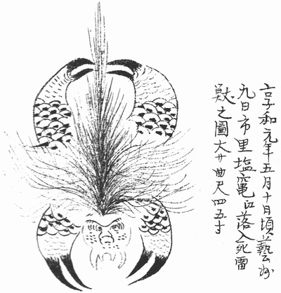 【TOCANA的UMAファイル #19】「雷獣」 ── 江戸の空から降ってきた獣、令和の国会で“答弁困難”にの画像2