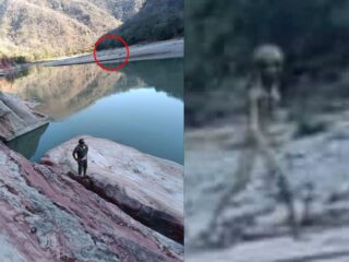 写真に浮かぶ「透けた体に長い手足」の人影、グレイ型宇宙人説とパレイドリア説が真っ向対立