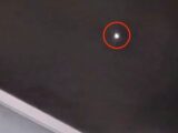 「音もなく、色を変えながら近づいてきた」愛犬と散歩中の女性が目撃した謎の発光体は″プラズモイド・オーブ”なのか
