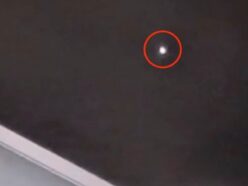 「音もなく、色を変えながら近づいてきた」愛犬と散歩中の女性が目撃した謎の発光体は″プラズモイド・オーブ”なのか