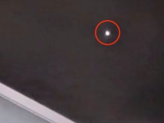 「音もなく、色を変えながら近づいてきた」愛犬と散歩中の女性が目撃した謎の発光体は″プラズモイド・オーブ”なのか