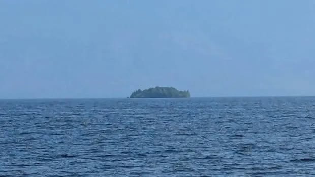 【怪奇】サッカー場2面分の「森」が湖を彷徨っている!? カナダに出現した“幽霊島”が不思議すぎるの画像1