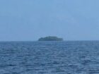 【怪奇】サッカー場2面分の「森」が湖を彷徨っている!? カナダに出現した“幽霊島”が不思議すぎる