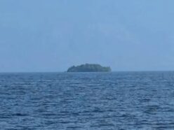 【怪奇】サッカー場2面分の「森」が湖を彷徨っている!? カナダに出現した“幽霊島”が不思議すぎる