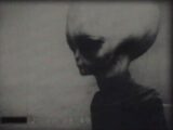 伝説の宇宙人映像「スキニー・ボブ」に15年ぶりの新展開！ ″流出したのは全アーカイブの2％に過ぎない”は本当か