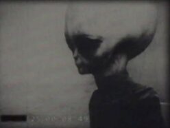 伝説の宇宙人映像「スキニー・ボブ」に15年ぶりの新展開！ ″流出したのは全アーカイブの2％に過ぎない”は本当か