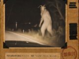 【TOCANA的UMAファイル #27】「レイク・ワース・モンスター」 ── 犯人を名乗る者が何人現れても、正体が決まらないヤギ男