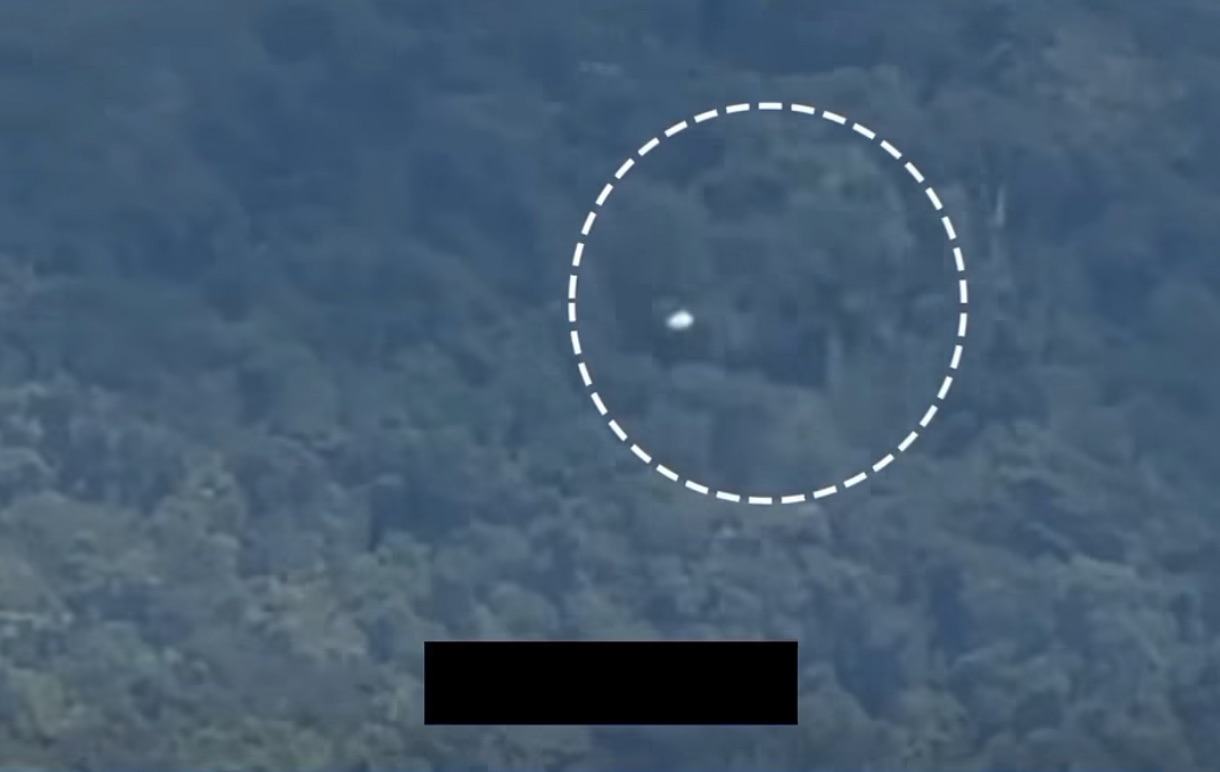 【UFO動画】山並みを2分半で横切った「自転する白い球体」 ドローンを仕事で扱う女性が自宅から撮影、気球説・ドローン説を否定の画像1