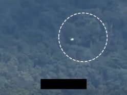 【UFO動画】山並みを2分半で横切った「自転する白い球体」 ドローンを仕事で扱う女性が自宅から撮影、気球説・ドローン説を否定