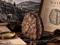 140年間決着しない「ザルツブルク・キューブ」の謎