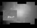 米軍UFO映像「6つの球体」の正体は鳥？